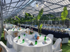 더힐링식물원 야외결혼식